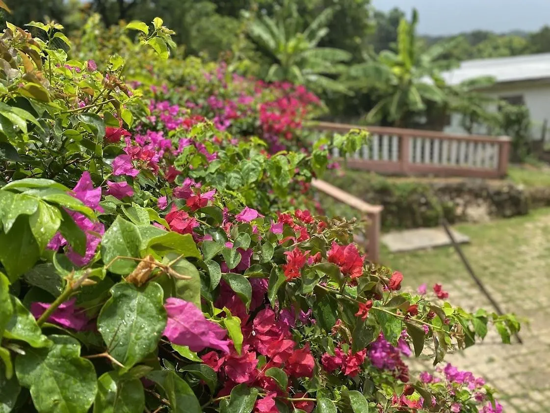 Yanceylargo-6Br Two-Story Estate With Mountain Views Villa Montego Bay